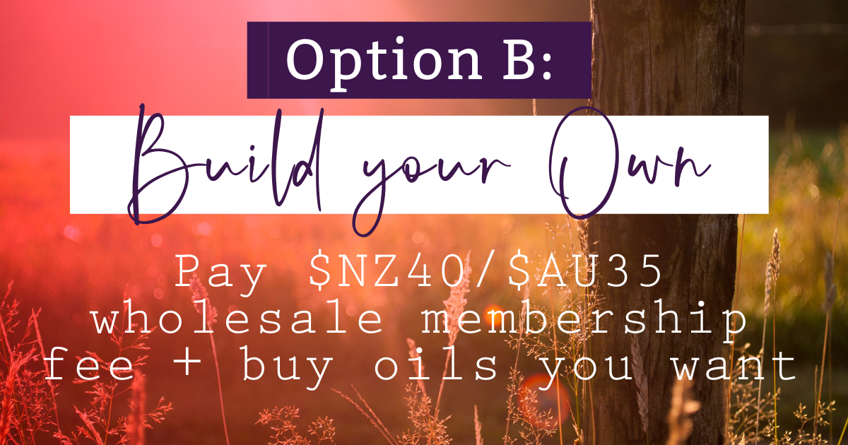 OPTION B - Build Your Own FINAL