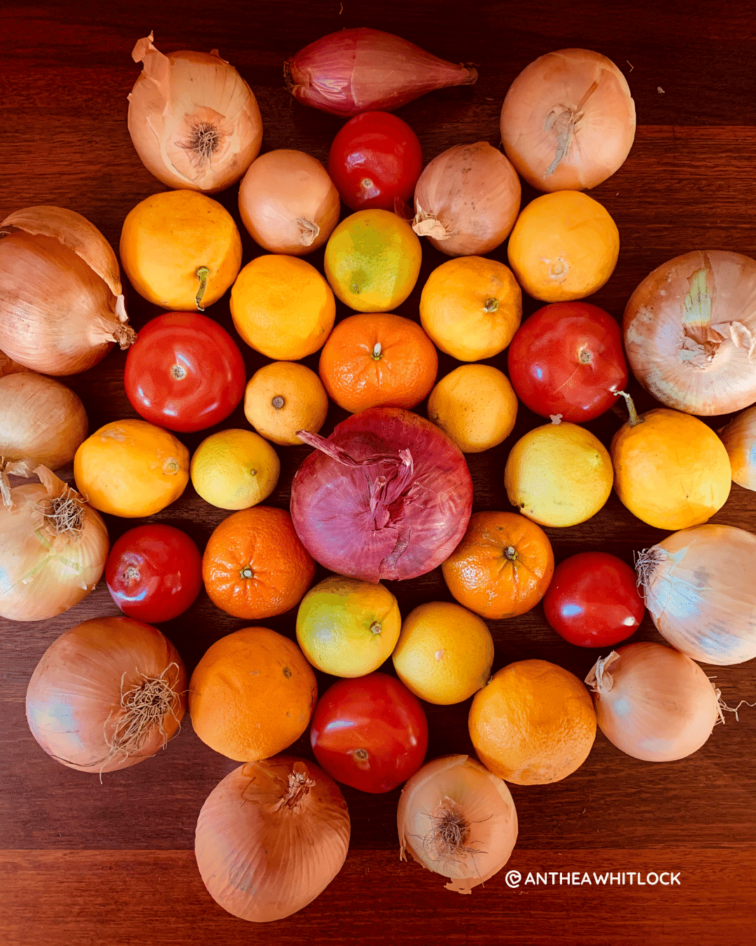 fruit and vege mandala SMALL SIZE